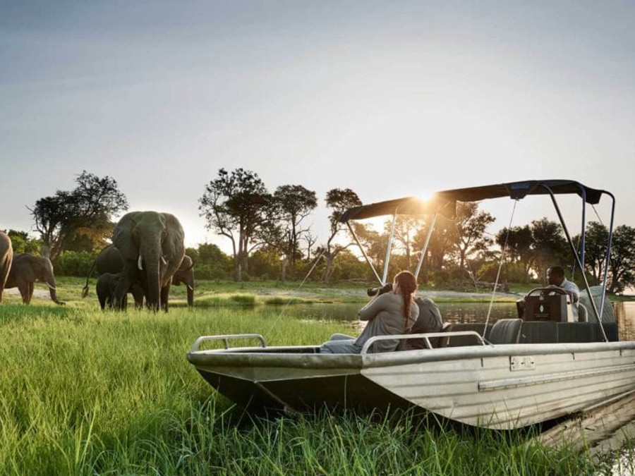 Chobe-Chilwero-road-with-ellies-1024x576