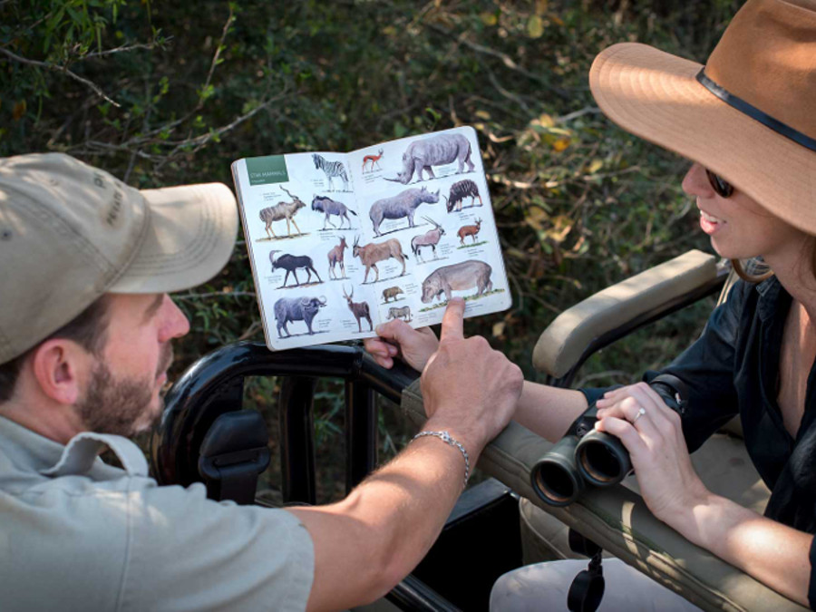 guide-pointing-out-animals-in-book-woman-holding-binoculars